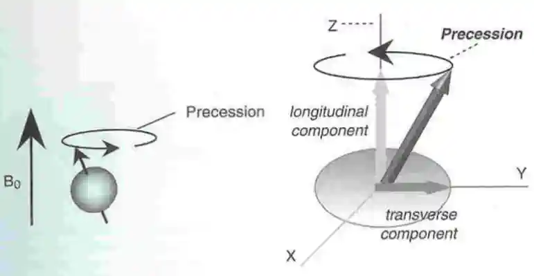 charged particle precession axis