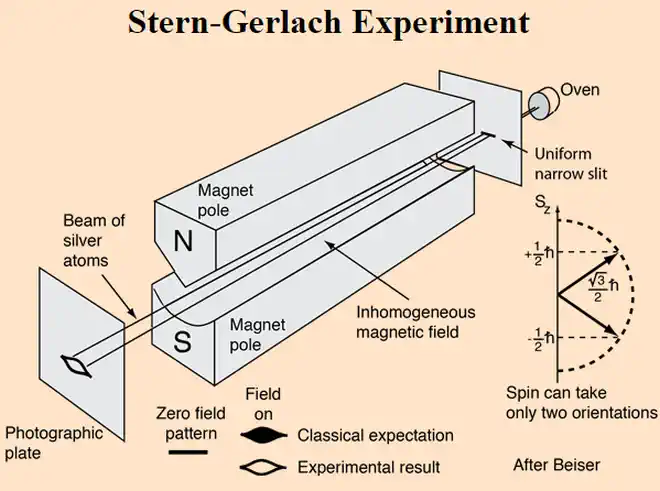 The Stern Gerlach Experiment